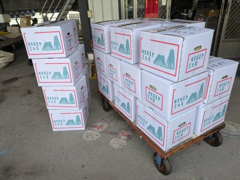10 公斤茭白筍裝箱出貨實拍