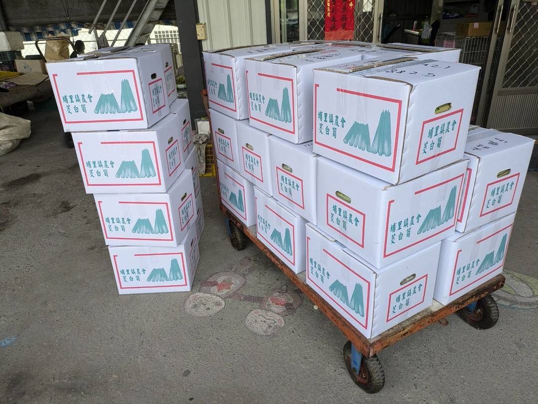 10公斤茭白筍裝箱出貨實拍