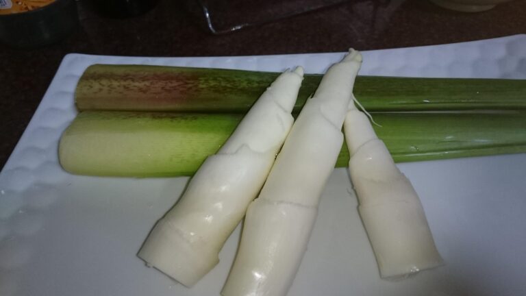 剝開外殼後的白色茭白筍筍肉