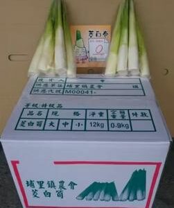 埔里茭白筍箱裝商品圖 埔里茭白筍袋裝與箱裝包裝示意