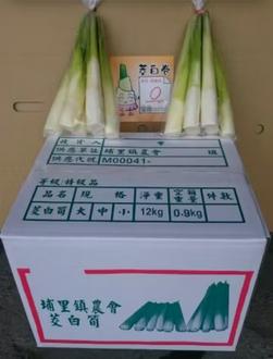 埔里茭白筍箱裝商品圖 埔里茭白筍袋裝與箱裝包裝示意